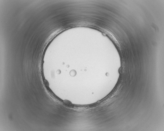 X0000115520946200912181503