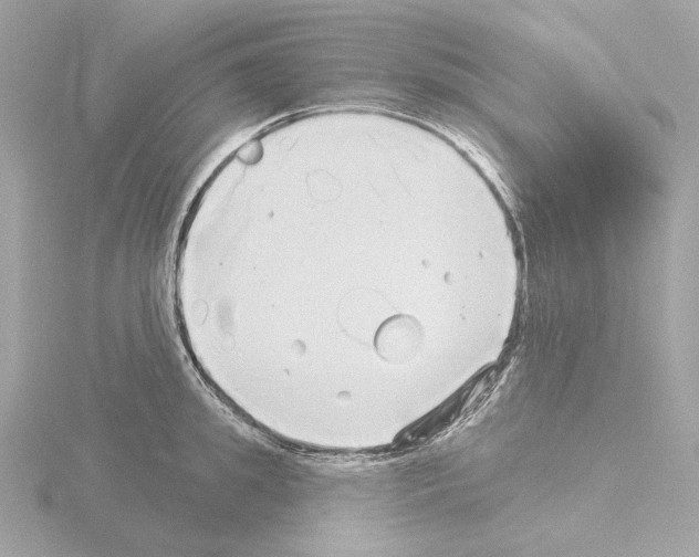 X0000115520949200912181503