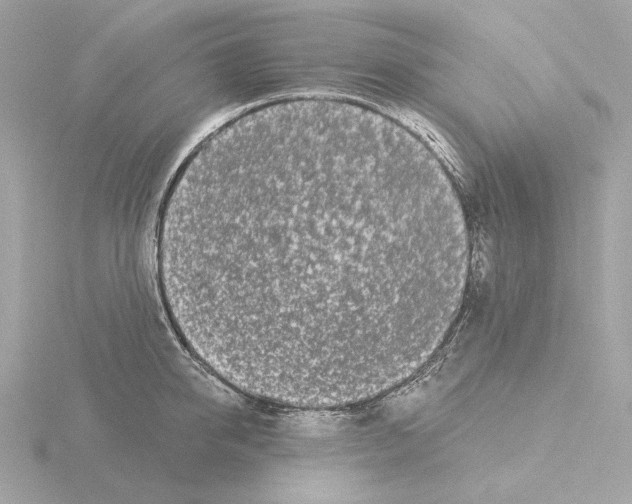 X0000115520950200912181503