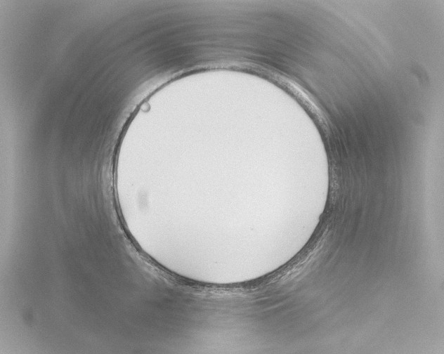 X0000115520951200912181504