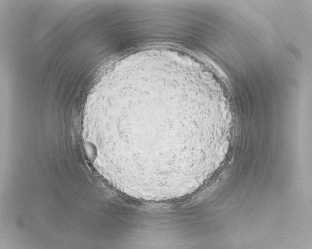 X0000115520953200912181504