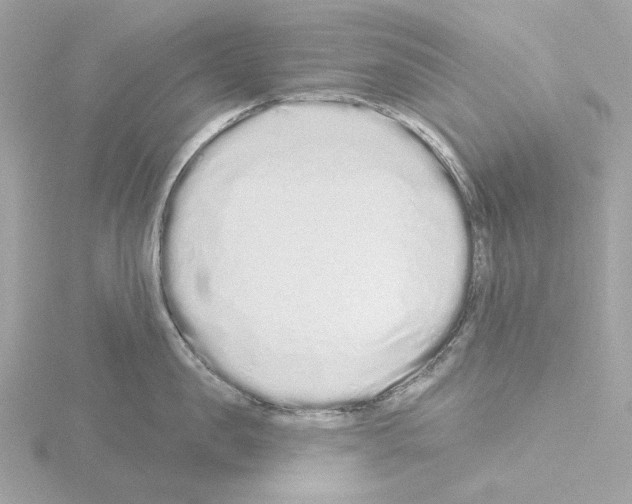 X0000115520957200912181504