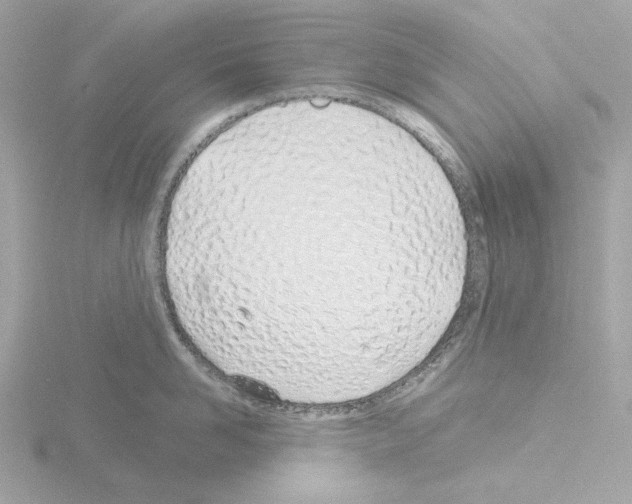 X0000115520958200912181504