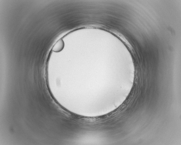 X0000115520959200912181504