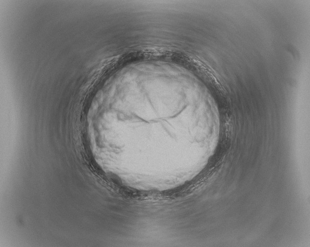 X0000115520961200912181503