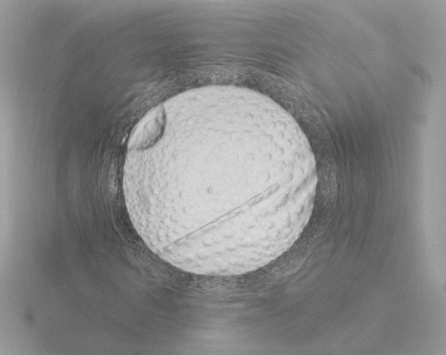 X0000115520962200912181503