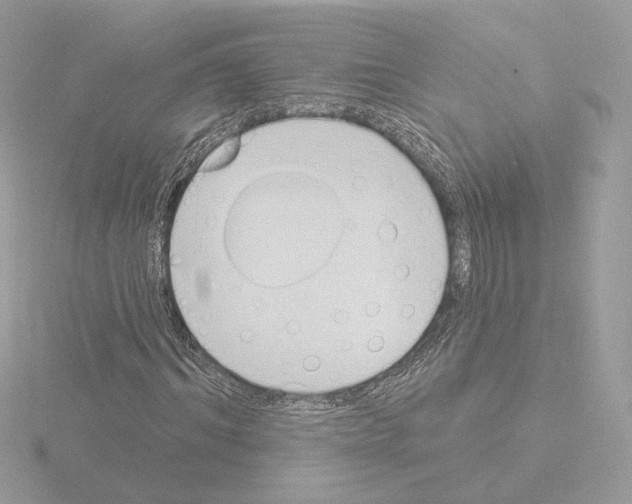 X0000115520964200912181503