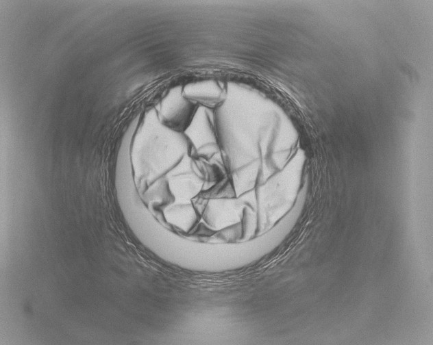 X0000115520965200912181503