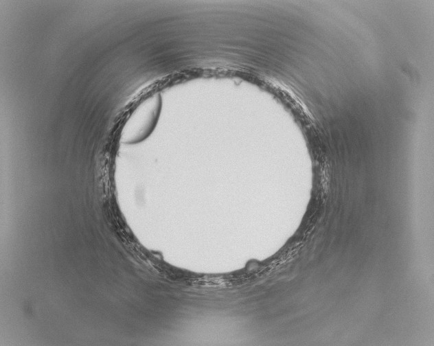 X0000115520968200912181503