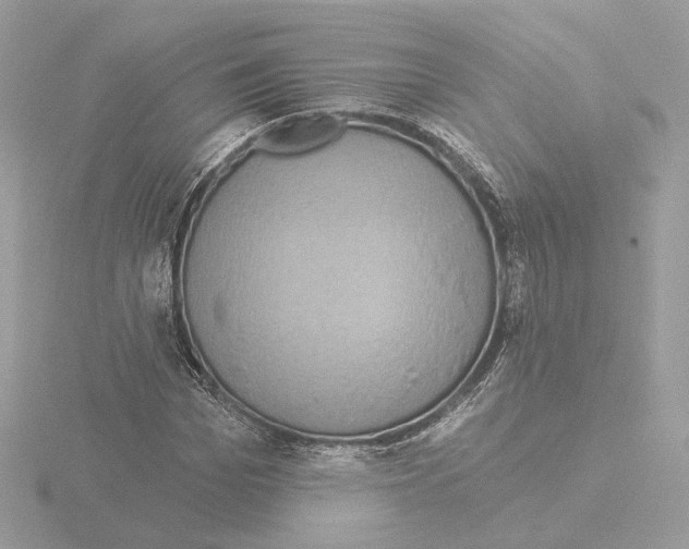 X0000115520969200912181503