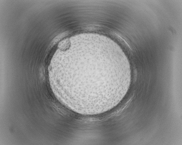 X0000115520970200912181503