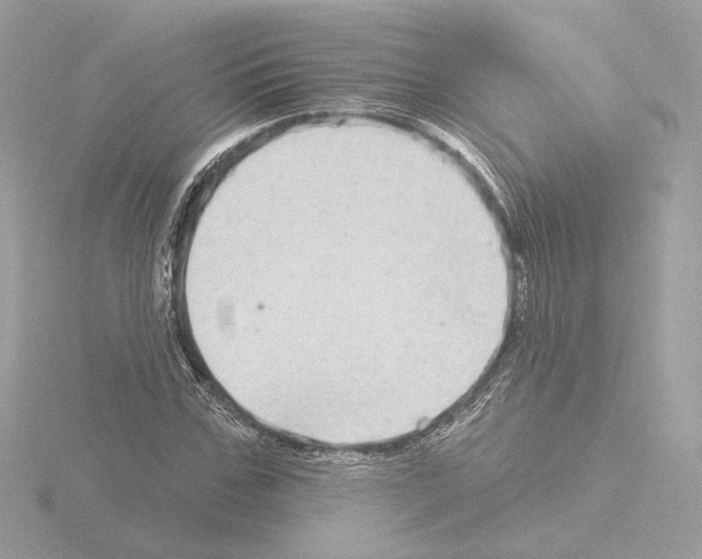 X0000115520971200912181503