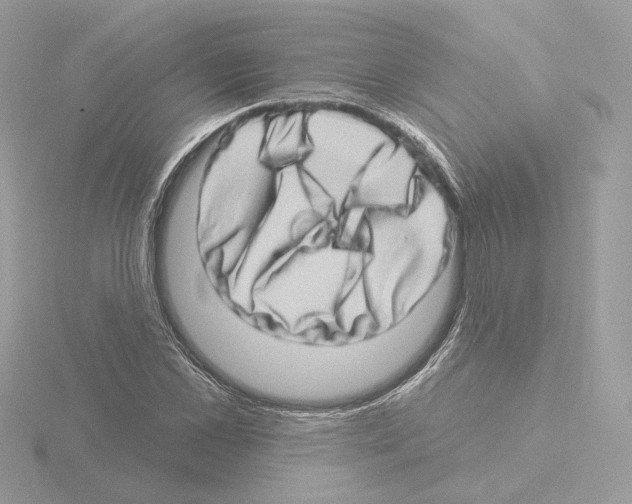 X0000115520973200912181503