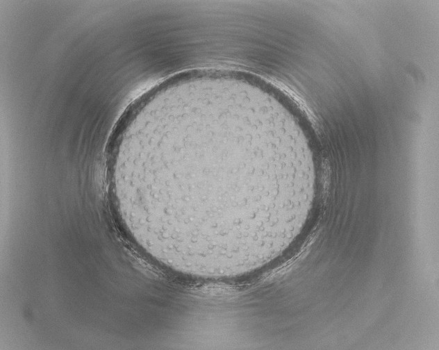 X0000115520974200912181503