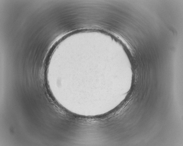 X0000115520975200912181503