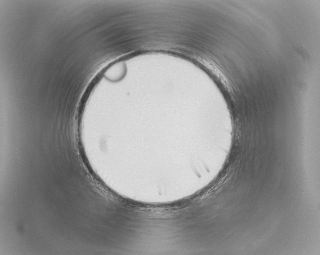 X0000115520976200912181503