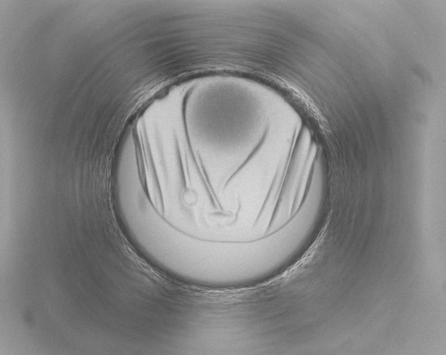 X0000115520977200912181503