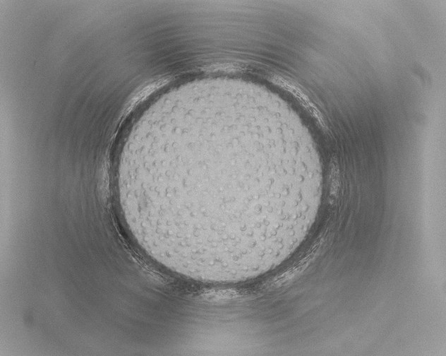 X0000115520978200912181503