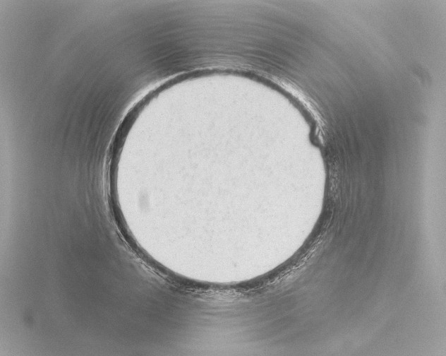 X0000115520983200912181503