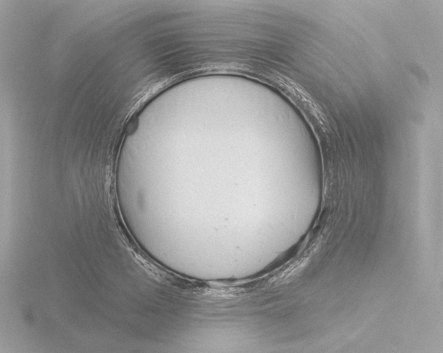 X0000115520985200912181503