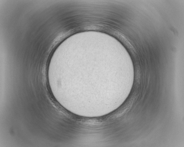 X0000115520986200912181503