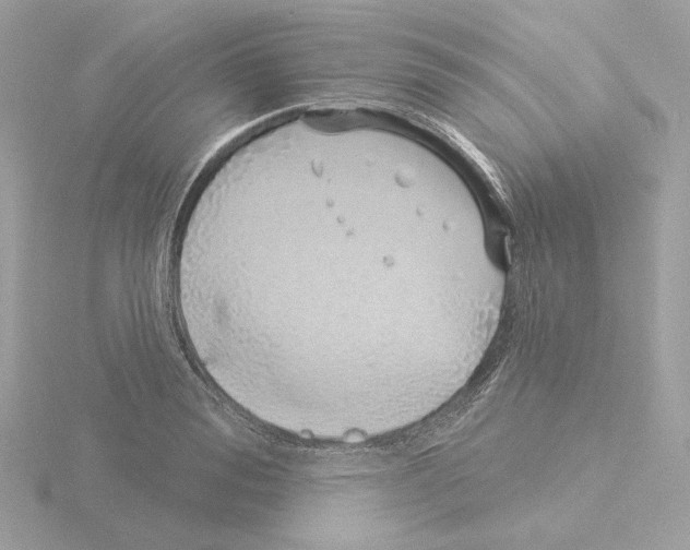 X0000115520988200912181503