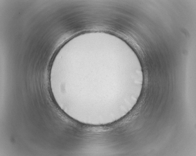 X0000115520990200912181503