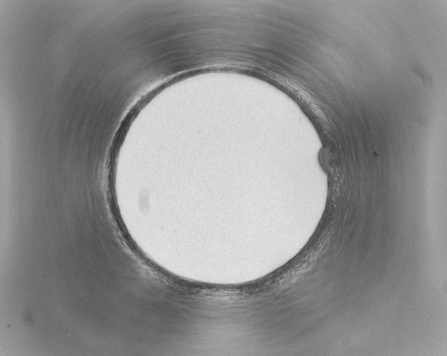 X0000115520991200912181503