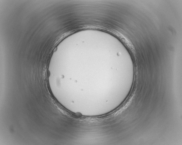 X0000115520993200912181503