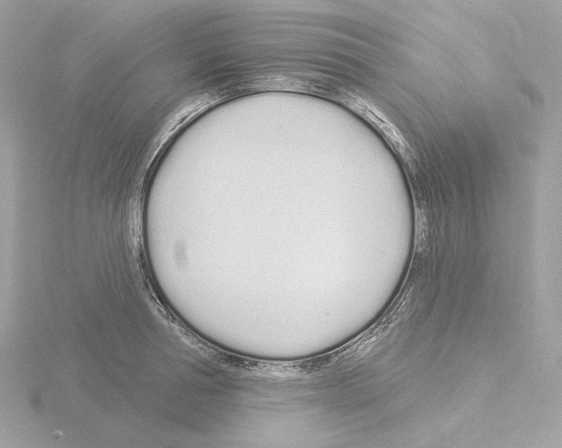 X0000115520994200912181503