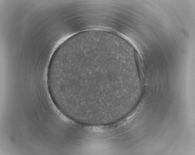 X0000115520995200912181503