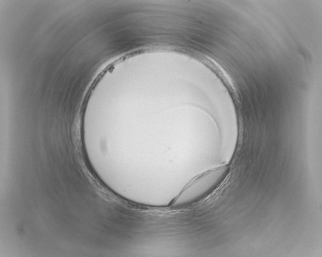 X0000115520996200912181503