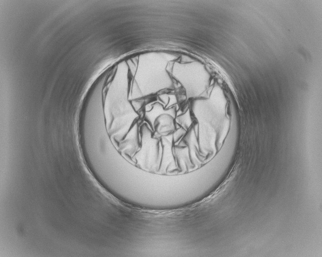 X0000115520997200912181503