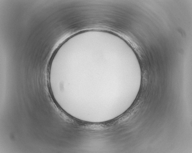 X0000115520998200912181503