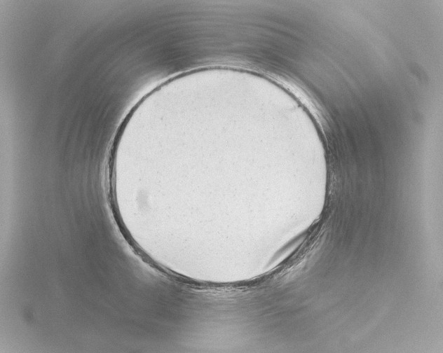 X0000115520999200912181503