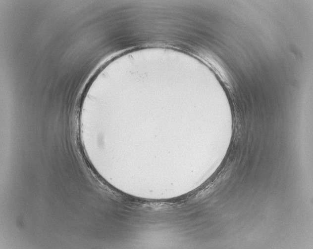 X0000115521000200912181502