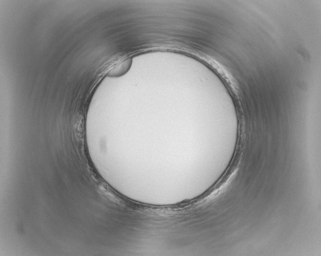 X0000115521001200912181502