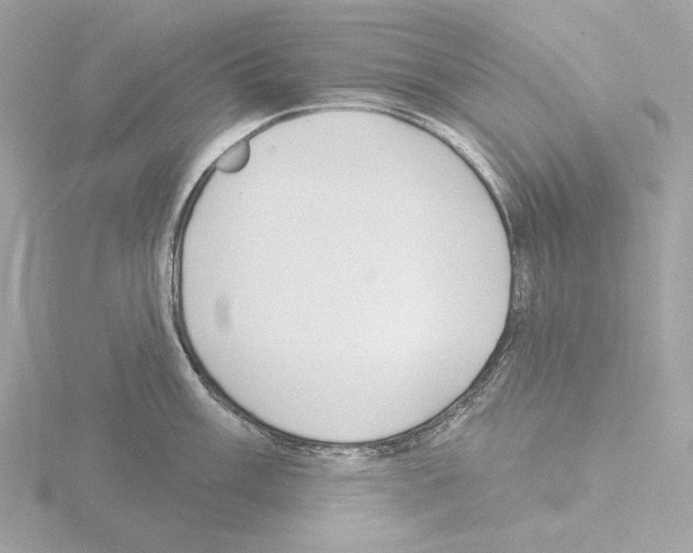 X0000115521003200912181502