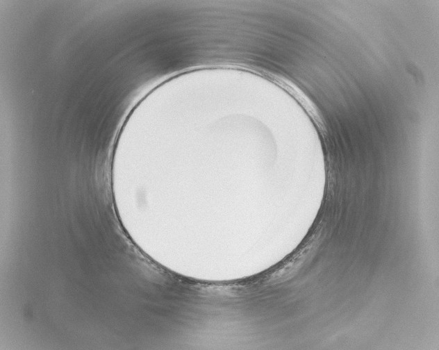 X0000115521004200912181502