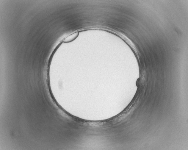 X0000115521005200912181502