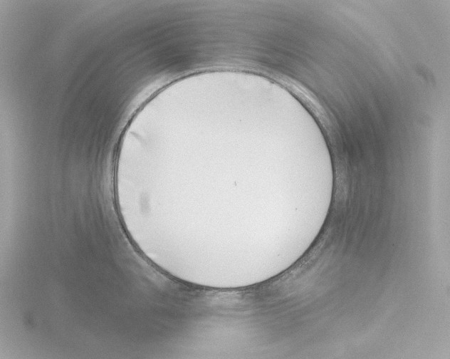 X0000115521006200912181502