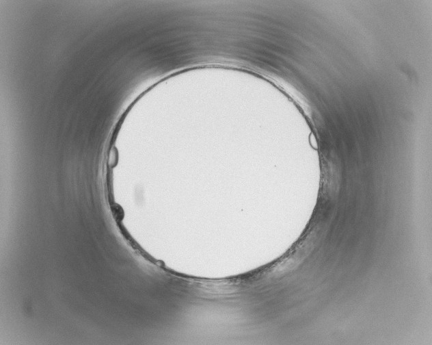 X0000115521007200912181502