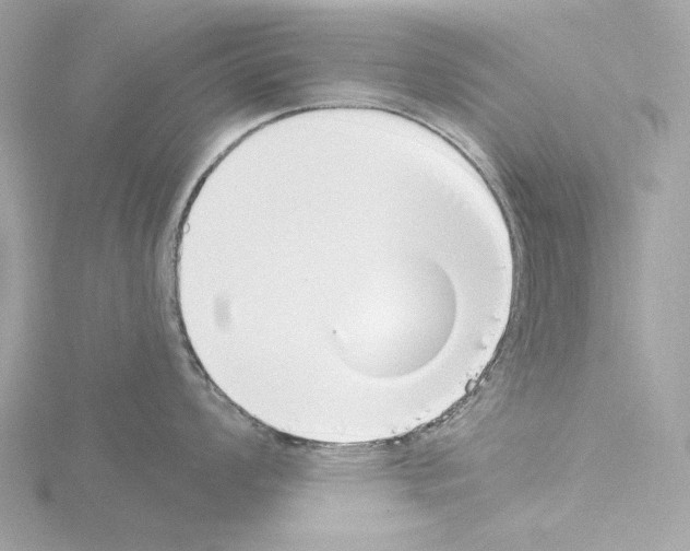 X0000115521008200912181502