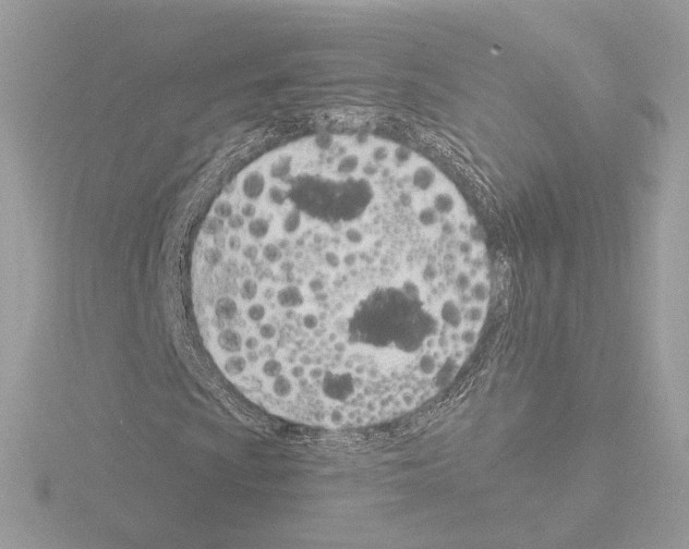 X0000115521009200912181502