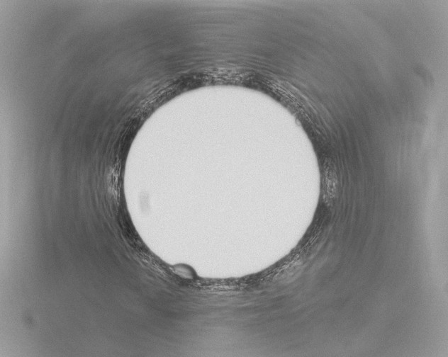 X0000115521010200912181502