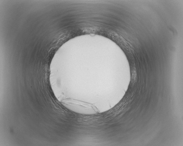 X0000115521012200912181502