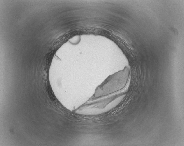 X0000115521013200912181502