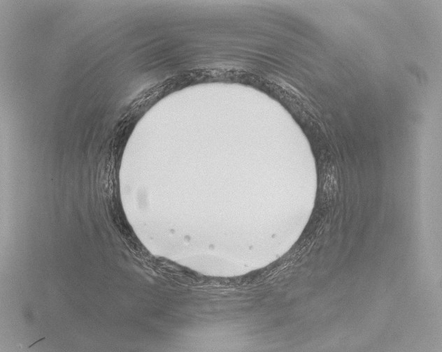 X0000115521014200912181502