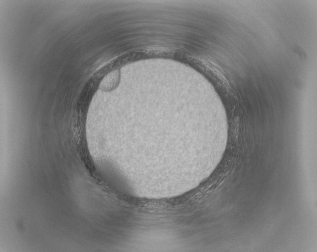 X0000115521015200912181502