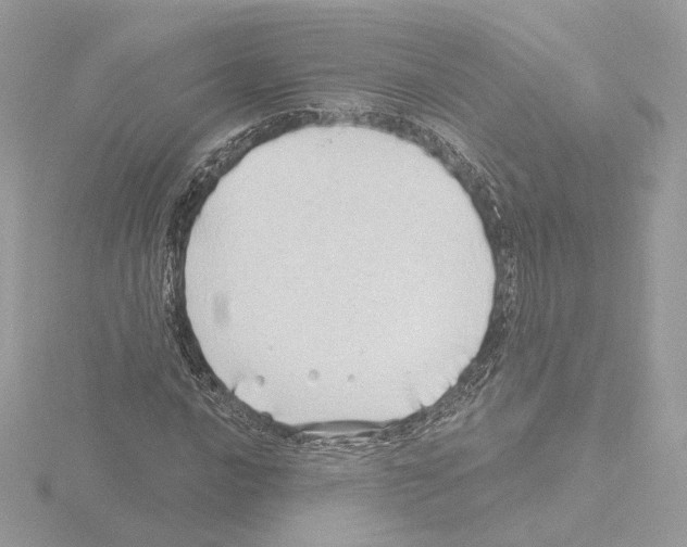 X0000115521016200912181502